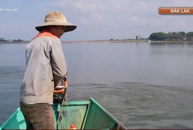 Mưu sinh trên hồ Ea Kao, Đắk Lắk - Ảnh 8. Mưu sinh trên hồ Ea Kao, Đắk Lắk - Ảnh 8.
