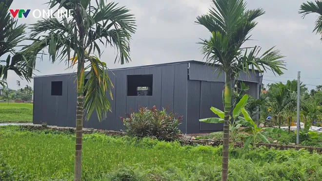 Hải Ph&ograve;ng: Người d&acirc;n phường Lưu Kiếm bức x&uacute;c v&igrave; &ocirc; nhiễm từ c&aacute;c cơ sở chăn nu&ocirc;i - Ảnh 8.