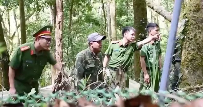 Ngăn chặn nạn trộm sâm Ngọc Linh ở vùng núi cao Quảng Ngãi- Ảnh 2. Ngăn chặn nạn trộm sâm Ngọc Linh ở vùng núi cao Quảng Ngãi- Ảnh 2.