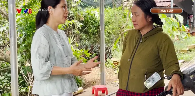 Mất tiền v&igrave; nhờ c&ograve; đất l&agrave;m sổ đỏ- Ảnh 3.