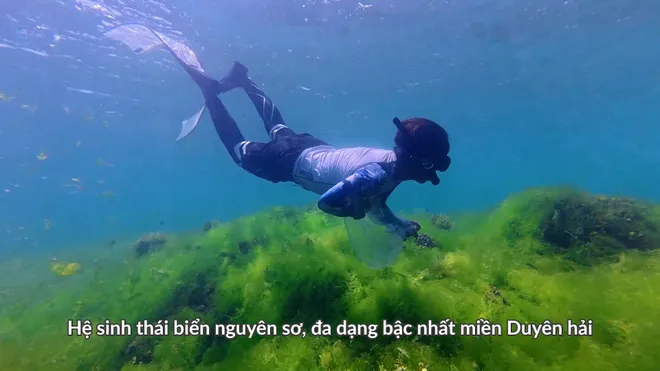 Kích hoạt "phiêu lưu" với Top trò chơi trên biển đỉnh nhất miền duyên hải- Ảnh 9. Kích hoạt "phiêu lưu" với Top trò chơi trên biển đỉnh nhất miền duyên hải- Ảnh 9.