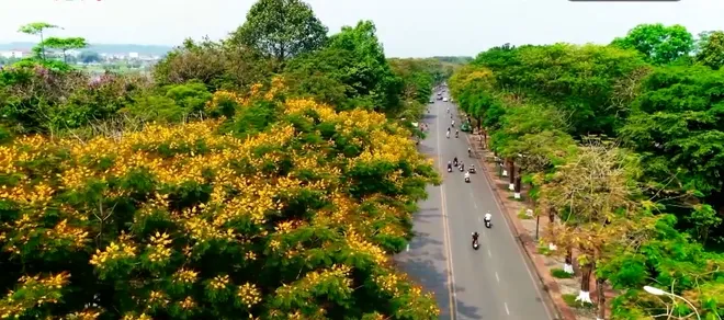 Không gian xanh giữa lòng thành phố Huế: Gìn giữ bản sắc đô thị di sản, nâng cao chất lượng sống nhân dân- Ảnh 2. Không gian xanh giữa lòng thành phố Huế: Gìn giữ bản sắc đô thị di sản, nâng cao chất lượng sống nhân dân- Ảnh 2.