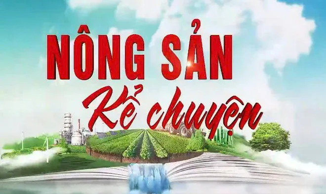 Sứ mệnh mới của VTV8 tr&ecirc;n bản đồ Truyền h&igrave;nh Quốc gia- Ảnh 4.