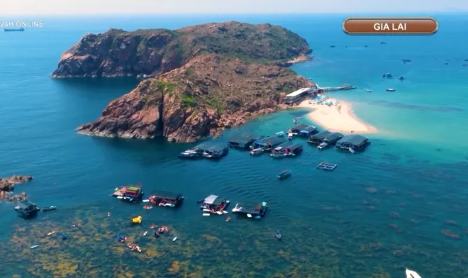 Gia Lai: Quyến rũ m&ugrave;a rong mơ Nhơn Hải - Ảnh 4.