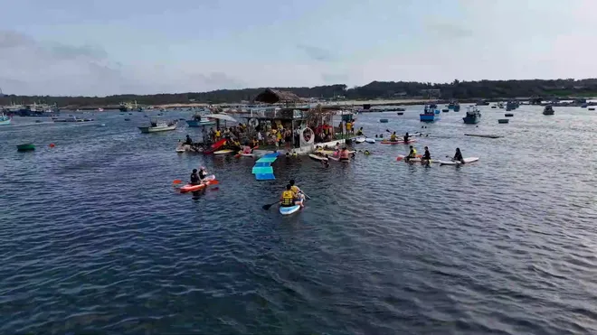 Hành động vì Đại dương xanh: ‘Vũ điệu” san hô Phú Quý gìn giữ màu xanh đại dương- Ảnh 9. Hành động vì Đại dương xanh: ‘Vũ điệu” san hô Phú Quý gìn giữ màu xanh đại dương- Ảnh 9.
