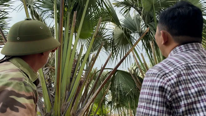 Đũa buông Suối Kiết, Lâm Đồng và hành trình gìn giữ nghề xưa- Ảnh 2. Đũa buông Suối Kiết, Lâm Đồng và hành trình gìn giữ nghề xưa- Ảnh 2.
