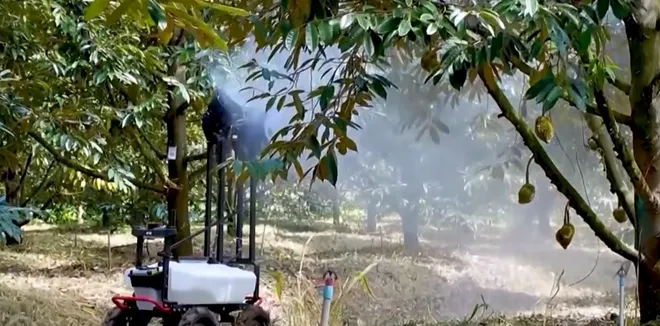Chuyển giao c&ocirc;ng nghệ canh t&aacute;c bền vững cho sầu ri&ecirc;ng v&agrave; c&agrave; ph&ecirc; T&acirc;y Nguy&ecirc;n- Ảnh 2.