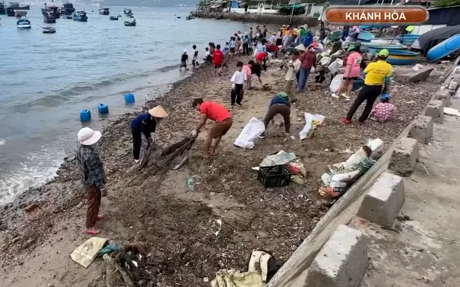 Dạy trẻ nhặt rác, lan tỏa ý thức bảo vệ đại dương từ đảo Trí Nguyên- Ảnh 5. Dạy trẻ nhặt rác, lan tỏa ý thức bảo vệ đại dương từ đảo Trí Nguyên- Ảnh 5.