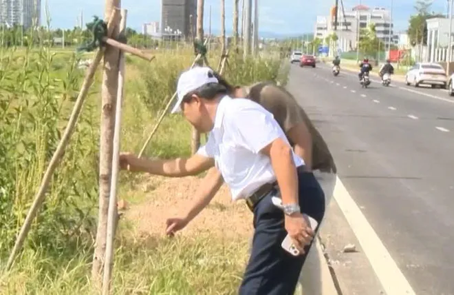 TP Huế: Hàng trăm cây xanh chết khô tại dự án đô thị xanh nghìn tỷ- Ảnh 5. TP Huế: Hàng trăm cây xanh chết khô tại dự án đô thị xanh nghìn tỷ- Ảnh 5.
