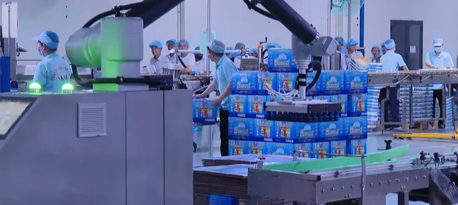 Ngăn chặn mua bán sản phẩm yến sào giả- Ảnh 2. Ngăn chặn mua bán sản phẩm yến sào giả- Ảnh 2.