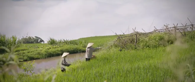 Lời hứa đầu tiên - Tập cuối: Kết thúc trọn vẹn cho Vi Minh - Ảnh 6.