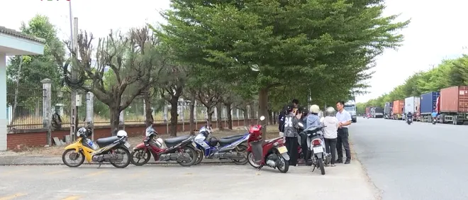 Đà Nẵng: Nợ bảo hiểm xã hội, hệ lụy kéo dài- Ảnh 2. Đà Nẵng: Nợ bảo hiểm xã hội, hệ lụy kéo dài- Ảnh 2.