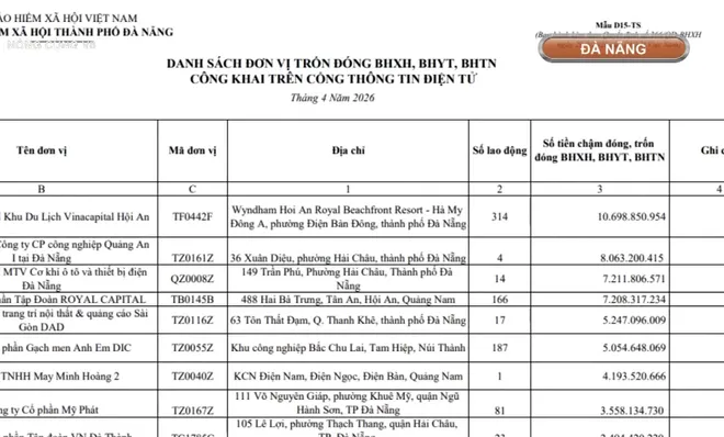 Đà Nẵng: Nợ bảo hiểm xã hội, hệ lụy kéo dài- Ảnh 7. Đà Nẵng: Nợ bảo hiểm xã hội, hệ lụy kéo dài- Ảnh 7.
