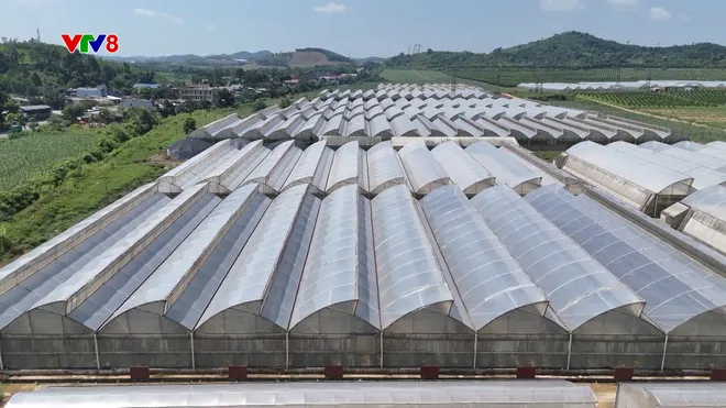 Đẩy mạnh chuyển đổi số trong nông nghiệp tại Thanh Hóa- Ảnh 2. Đẩy mạnh chuyển đổi số trong nông nghiệp tại Thanh Hóa- Ảnh 2.