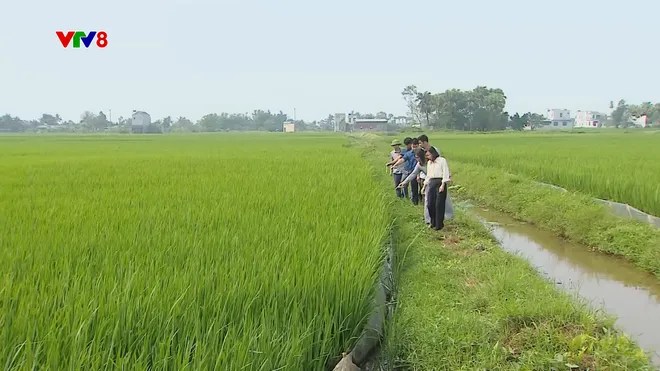 Đẩy mạnh chuyển đổi số trong nông nghiệp tại Thanh Hóa- Ảnh 13. Đẩy mạnh chuyển đổi số trong nông nghiệp tại Thanh Hóa- Ảnh 13.