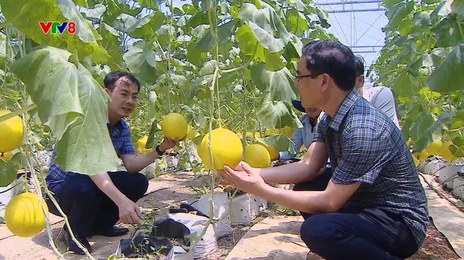 Đẩy mạnh chuyển đổi số trong nông nghiệp tại Thanh Hóa- Ảnh 1. Đẩy mạnh chuyển đổi số trong nông nghiệp tại Thanh Hóa- Ảnh 1.