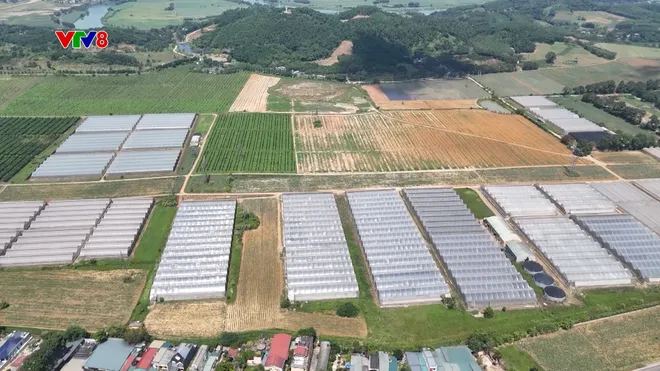 Đẩy mạnh chuyển đổi số trong nông nghiệp tại Thanh Hóa- Ảnh 3. Đẩy mạnh chuyển đổi số trong nông nghiệp tại Thanh Hóa- Ảnh 3.