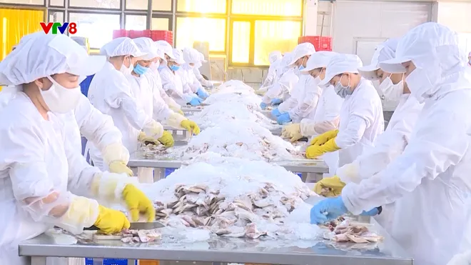 Đẩy mạnh chuyển đổi số trong nông nghiệp tại Thanh Hóa- Ảnh 11. Đẩy mạnh chuyển đổi số trong nông nghiệp tại Thanh Hóa- Ảnh 11.