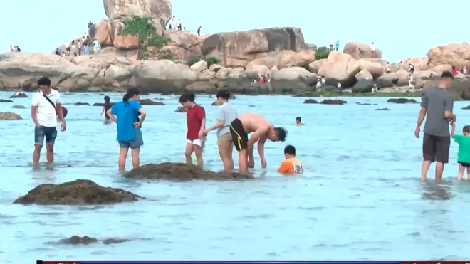 Áp lực bảo tồn san hô vịnh Nha Trang mùa du lịch hè- Ảnh 2. Áp lực bảo tồn san hô vịnh Nha Trang mùa du lịch hè- Ảnh 2.