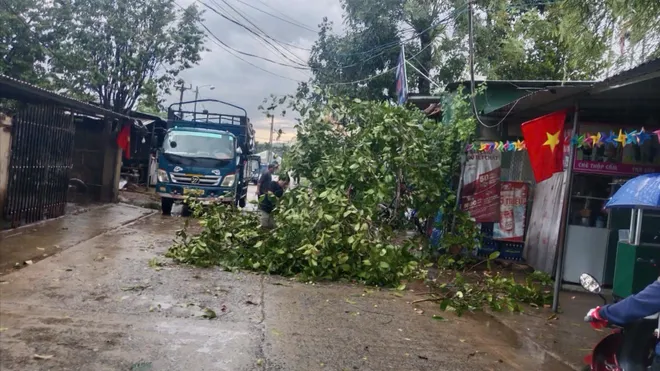 Lốc xoáy tại Quảng Ngãi: Hàng chục nhà dân tốc mái ở xã Sơn Linh- Ảnh 3. Lốc xoáy tại Quảng Ngãi: Hàng chục nhà dân tốc mái ở xã Sơn Linh- Ảnh 3.
