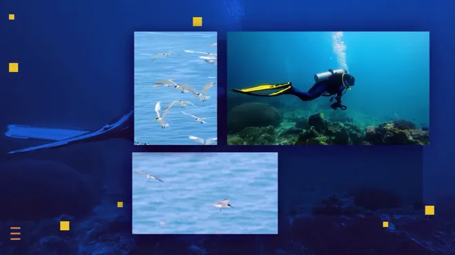 Vietnam Wild Live m&ugrave;a đầu ti&ecirc;n: Dấu ấn ti&ecirc;n phong v&agrave; sức h&uacute;t được minh chứng qua những con số - Ảnh 12.