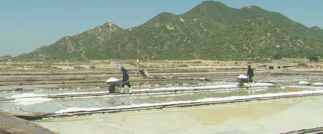 Ng&agrave;nh muối Việt Nam đang đứng trước cơ hội bứt ph&aacute; nhờ gi&aacute; trị xuất khẩu gia tăng- Ảnh 1.