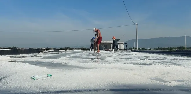 Ng&agrave;nh muối Việt Nam đang đứng trước cơ hội bứt ph&aacute; nhờ gi&aacute; trị xuất khẩu gia tăng- Ảnh 6.