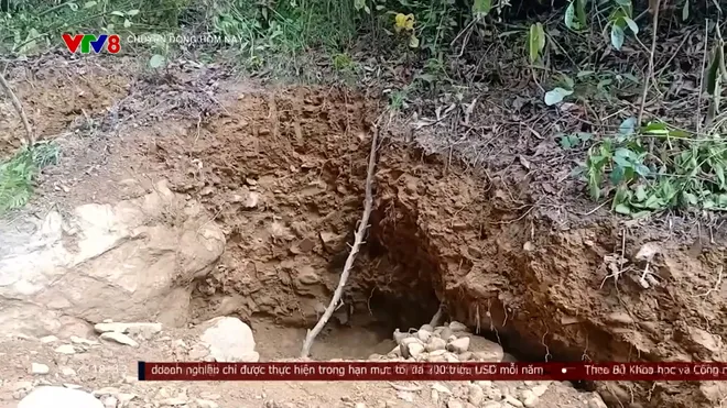 Ngăn chặn khai th&aacute;c v&agrave;ng tr&aacute;i ph&eacute;p ở Y&ecirc;n Na, Nghệ An: Kh&ocirc;ng để rừng ph&ograve;ng hộ tiếp tục &ldquo;chảy m&aacute;u&rdquo;- Ảnh 3.