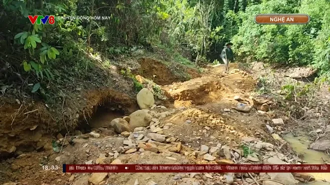 Ngăn chặn khai th&aacute;c v&agrave;ng tr&aacute;i ph&eacute;p ở Y&ecirc;n Na, Nghệ An: Kh&ocirc;ng để rừng ph&ograve;ng hộ tiếp tục &ldquo;chảy m&aacute;u&rdquo;- Ảnh 1.