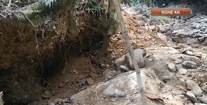 Ngăn chặn khai th&aacute;c v&agrave;ng tr&aacute;i ph&eacute;p ở Y&ecirc;n Na, Nghệ An: Kh&ocirc;ng để rừng ph&ograve;ng hộ tiếp tục &ldquo;chảy m&aacute;u&rdquo;- Ảnh 7.