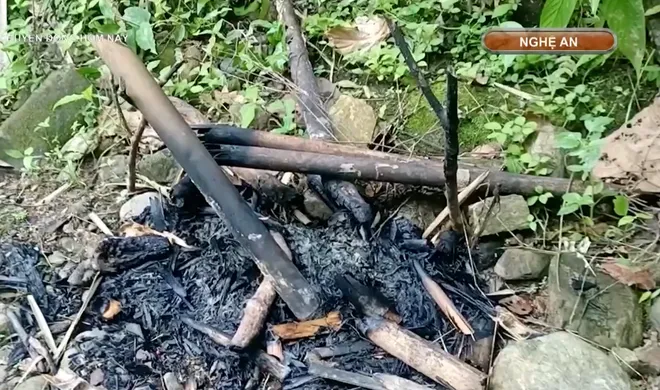 Ngăn chặn khai th&aacute;c v&agrave;ng tr&aacute;i ph&eacute;p ở Y&ecirc;n Na, Nghệ An: Kh&ocirc;ng để rừng ph&ograve;ng hộ tiếp tục &ldquo;chảy m&aacute;u&rdquo;- Ảnh 5.