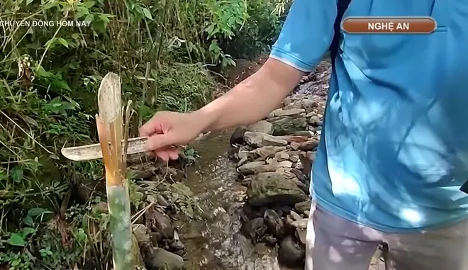 Ngăn chặn khai th&aacute;c v&agrave;ng tr&aacute;i ph&eacute;p ở Y&ecirc;n Na, Nghệ An: Kh&ocirc;ng để rừng ph&ograve;ng hộ tiếp tục &ldquo;chảy m&aacute;u&rdquo;- Ảnh 8.