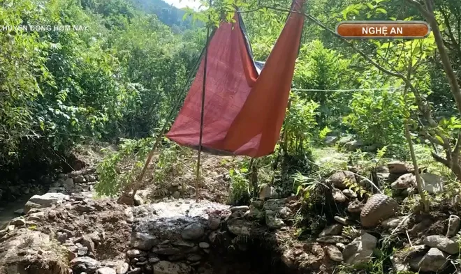 Ngăn chặn khai th&aacute;c v&agrave;ng tr&aacute;i ph&eacute;p ở Y&ecirc;n Na, Nghệ An: Kh&ocirc;ng để rừng ph&ograve;ng hộ tiếp tục &ldquo;chảy m&aacute;u&rdquo;- Ảnh 6.