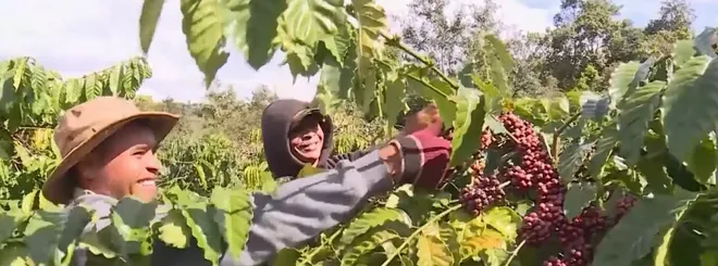 X&acirc;y dựng Bu&ocirc;n Ma Thuột th&agrave;nh Thủ phủ c&agrave; ph&ecirc; ngon nhất thế giới- Ảnh 1.