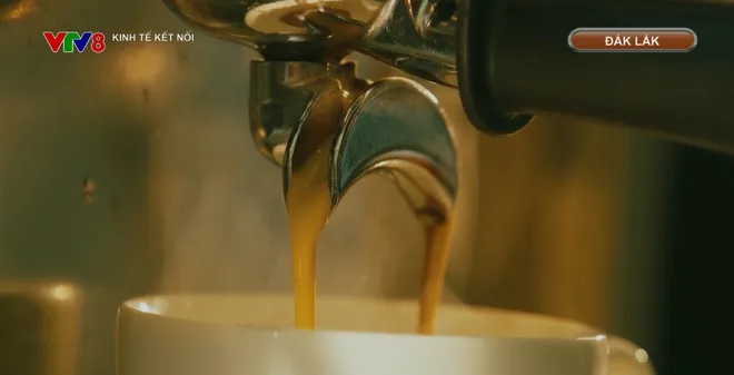 X&acirc;y dựng Bu&ocirc;n Ma Thuột th&agrave;nh Thủ phủ c&agrave; ph&ecirc; ngon nhất thế giới- Ảnh 7.