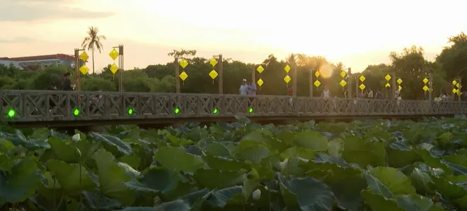Ng&agrave;y hội sen Huế với nhiều hoạt động đặc sắc- Ảnh 6.
