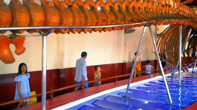 Sức sống di sản Lễ hội Cầu ngư: Trải nghiệm văn h&oacute;a mang dấu ấn miền duy&ecirc;n hải- Ảnh 2.