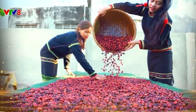 Đắk Lắk: Tiềm năng, kh&aacute;t vọng ph&aacute;t triển v&agrave; điểm hẹn đầu tư chiến lược- Ảnh 1.