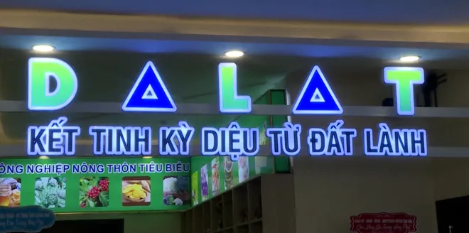 Điểm tin văn hóa, du lịch từ ngày 22-29/6- Ảnh 4. Điểm tin văn hóa, du lịch từ ngày 22-29/6- Ảnh 4.