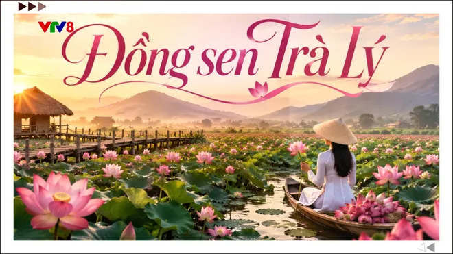 Đồng sen Trà Lý – Điểm nhấn du lịch sinh thái giữa lòng Đà Nẵng- Ảnh 8. Đồng sen Trà Lý – Điểm nhấn du lịch sinh thái giữa lòng Đà Nẵng- Ảnh 8.