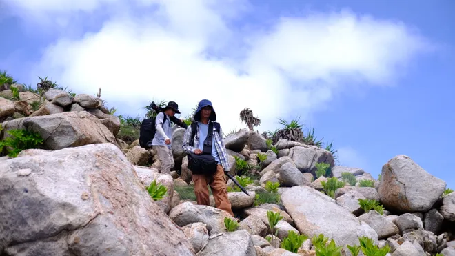 Vietnam Wild Live mở m&agrave;n tại C&ocirc;n Đảo: Đ&aacute;nh đổi kịch bản lấy khoảnh khắc nguy&ecirc;n sơ của tự nhi&ecirc;n- Ảnh 8.