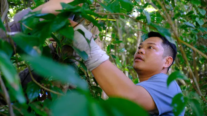 Vietnam Wild Live mở m&agrave;n tại C&ocirc;n Đảo: Đ&aacute;nh đổi kịch bản lấy khoảnh khắc nguy&ecirc;n sơ của tự nhi&ecirc;n- Ảnh 16.