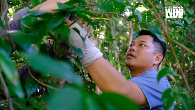 H&eacute; lộ hậu trường trước giờ truyền h&igrave;nh trực tiếp Vietnam Wild Live từ H&ograve;n Trứng - Ảnh 2.