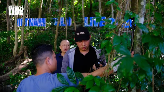 H&eacute; lộ hậu trường trước giờ truyền h&igrave;nh trực tiếp Vietnam Wild Live từ H&ograve;n Trứng - Ảnh 3.