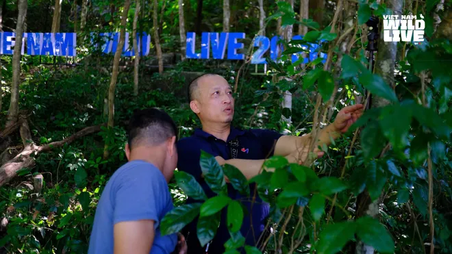 H&eacute; lộ hậu trường trước giờ truyền h&igrave;nh trực tiếp Vietnam Wild Live từ H&ograve;n Trứng - Ảnh 4.