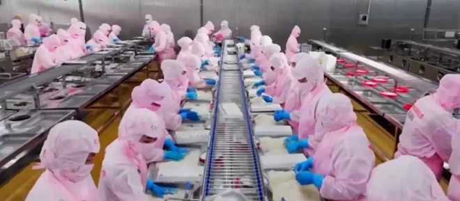 Tập đo&agrave;n thuỷ sản Minh Ph&uacute; kh&aacute;nh th&agrave;nh nh&agrave; m&aacute;y chế biến thủy sản 1.500 tỷ đồng tại C&agrave; Mau- Ảnh 6.