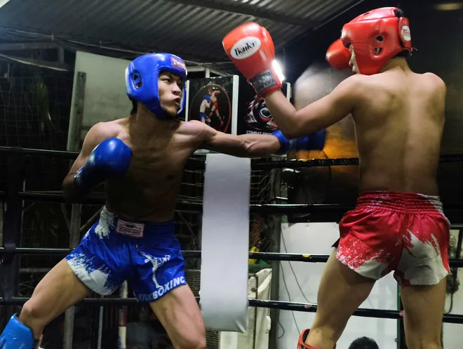 300 võ sĩ tham dự Giải vô địch trẻ Kickboxing TP Hồ Chí Minh năm 2026- Ảnh 5. 300 võ sĩ tham dự Giải vô địch trẻ Kickboxing TP Hồ Chí Minh năm 2026- Ảnh 5.