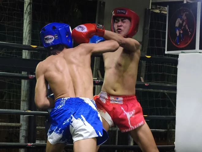 300 võ sĩ tham dự Giải vô địch trẻ Kickboxing TP Hồ Chí Minh năm 2026- Ảnh 4. 300 võ sĩ tham dự Giải vô địch trẻ Kickboxing TP Hồ Chí Minh năm 2026- Ảnh 4.