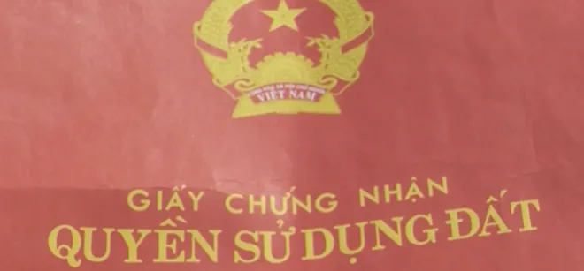 Lâm Đồng: Xét xử vụ tranh chấp đất đai kéo dài
hơn 20 năm- Ảnh 6. Lâm Đồng: Xét xử vụ tranh chấp đất đai kéo dài
hơn 20 năm- Ảnh 6.