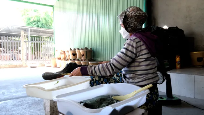 Bánh ít lá gai Bình Định: Giá trị văn hóa từ món ăn đặc sản bản địa- Ảnh 3. Bánh ít lá gai Bình Định: Giá trị văn hóa từ món ăn đặc sản bản địa- Ảnh 3.
